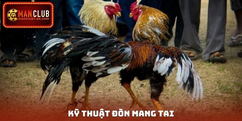 Kỹ thuật đòn mang tai
