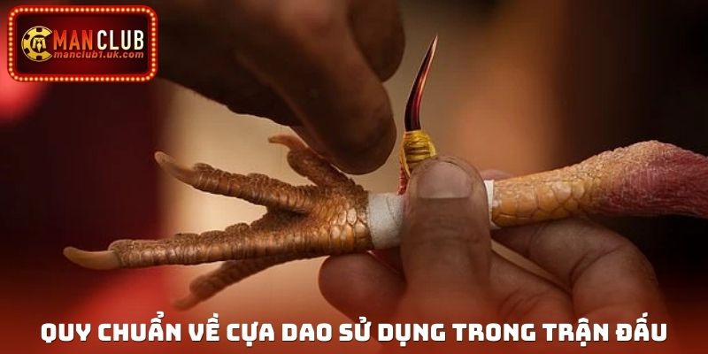 Quy chuẩn về loại cựa dao sử dụng trong trận đấu