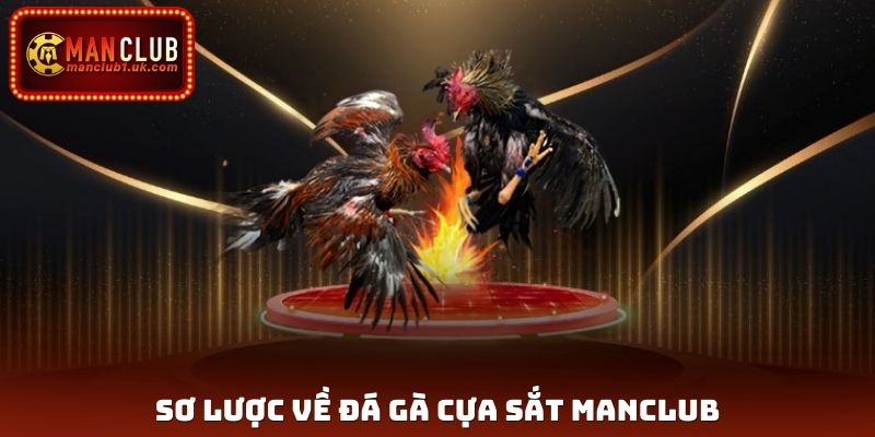 Sơ lược về đá gà cựa sắt Manclub